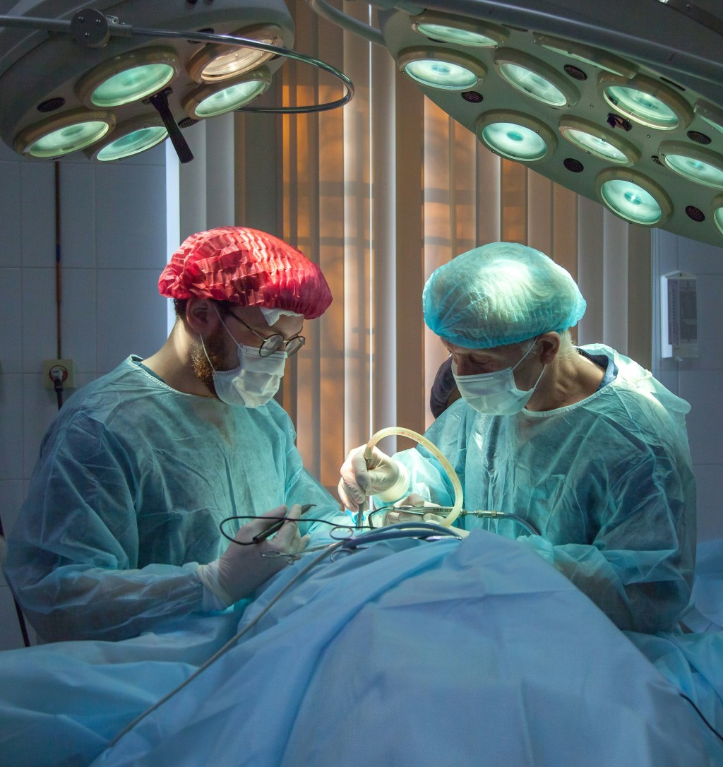 Embarking on a Healthcare Career Path in Dubai & UAE: Newly-Opened Doors for Job&nbsp;Seekers