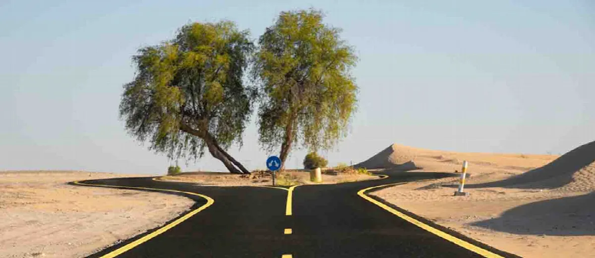 Al Qudra Cycling Track
