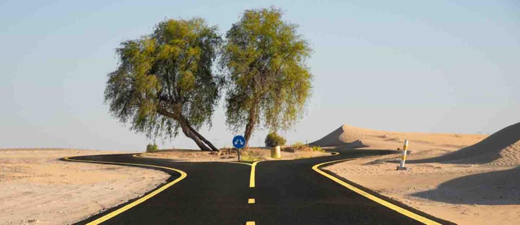 Al Qudra Cycling Track