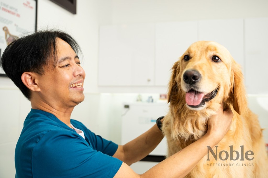 pet-health-essentials-noble-uae