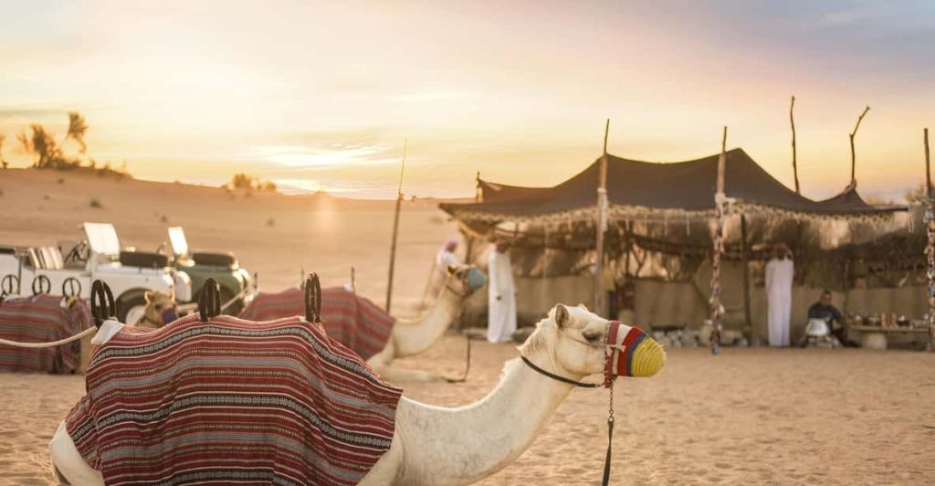Bedouin traditions