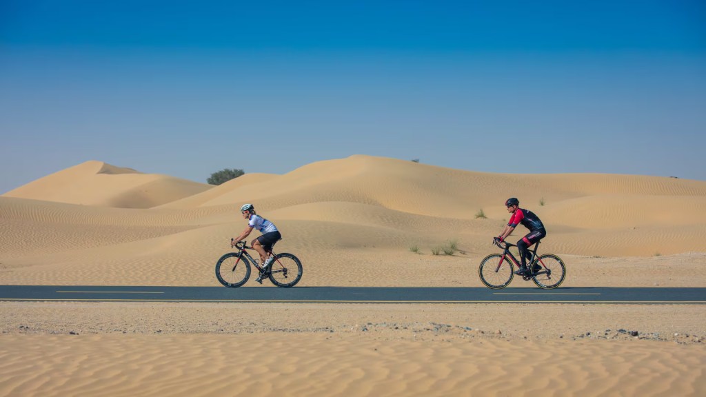 Al Qudra