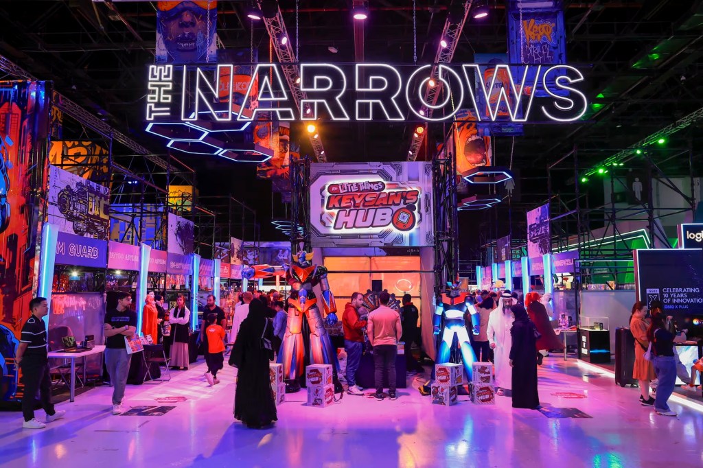 Dubai Esports & Games Festival 2025