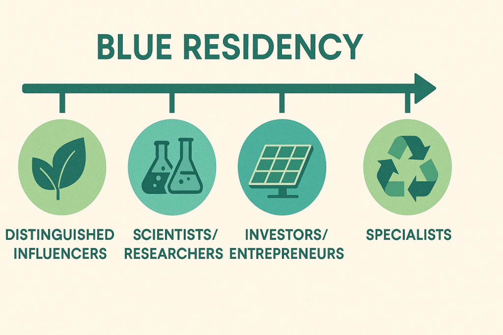 UAE blue residency visa eligibility categories infographic