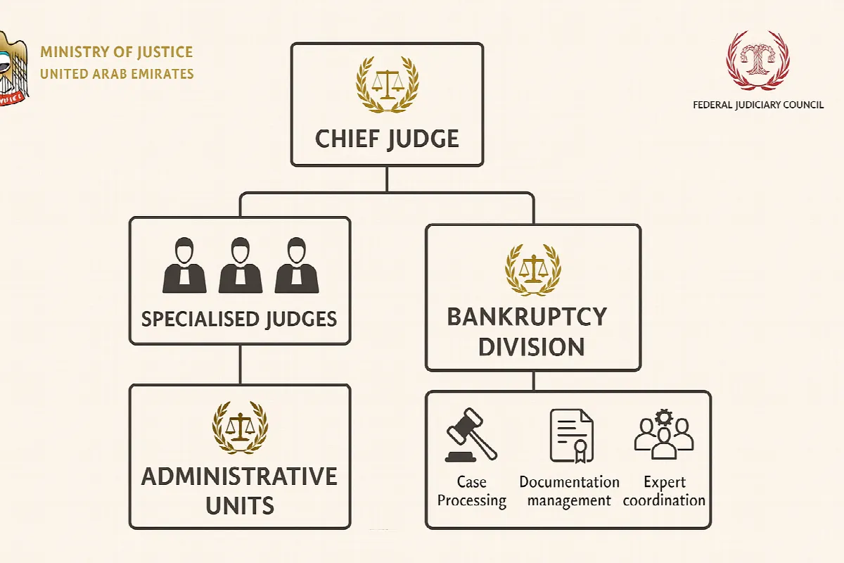 UAE Bankruptcy Court organisational structure showing judicial hierarchy and administrative divisions