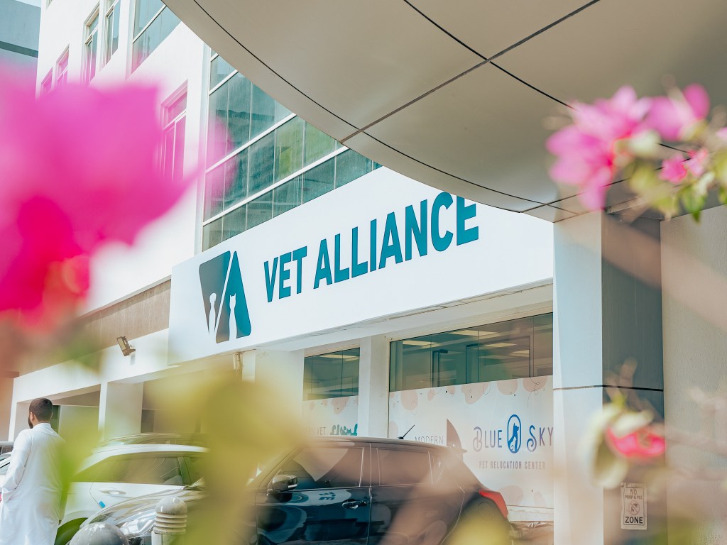 vet alliance